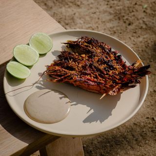 TENOCH by Paradero Todos Santos - 7