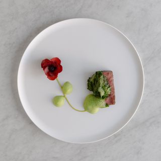 SAVAGE - Oslo - 16