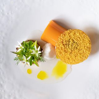 De Swarte Ruijter - 7