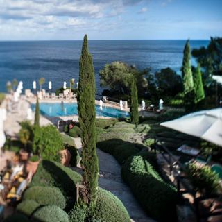 Il Pellicano - 8
