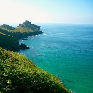 The Gurnard's Head - 10