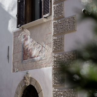 Orso Grigio - 1