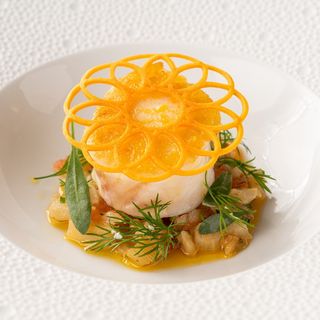 Clos Maggiore - 14