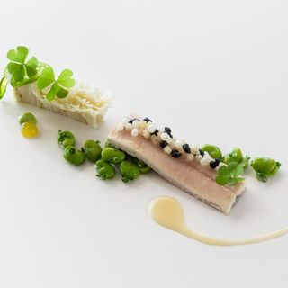 Johanns - 2