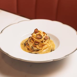 Mamani - 8