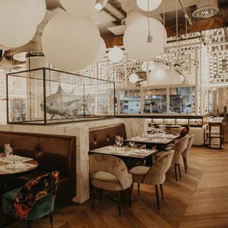 BiBo Madrid - 9