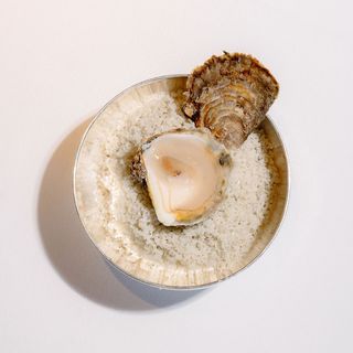 Mazarine - 12