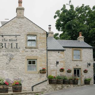 The Blind Bull - 1