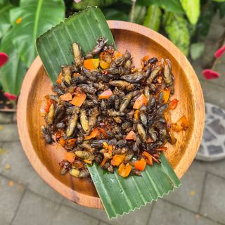 Apag Marangle - 11