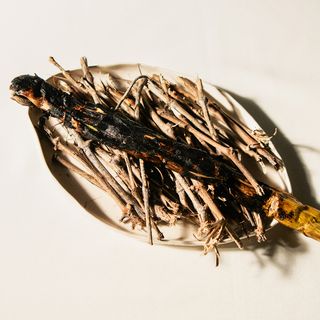 Caleña - 1