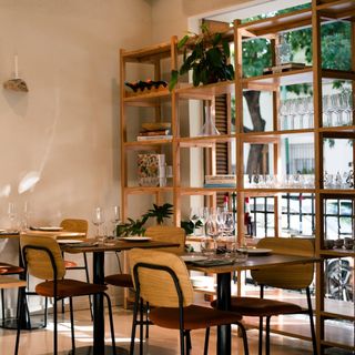 Alcanfor - Buenos Aires - 0