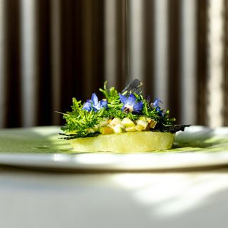 Pierre - Trattoria Sartoriale - 11