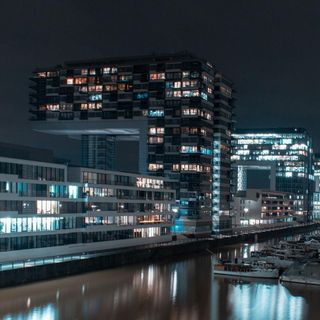 Ox & Klee - 10