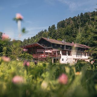 Au Vieux Moulin - 4