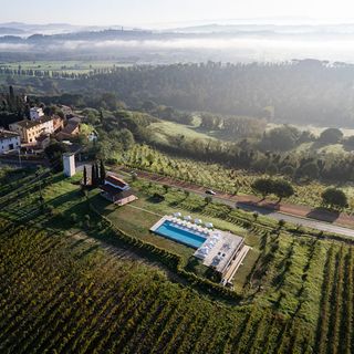 Cannavacciuolo Vineyard - 1