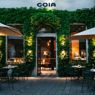 GOIA - 8