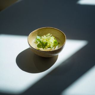Botanica - 6