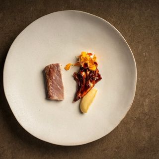 Fishølogy - 19