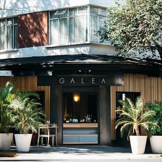 Galea - 1