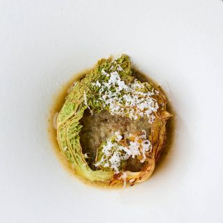 scaglia - 1