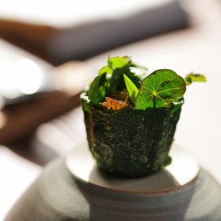 Wachter Foodbar - 9