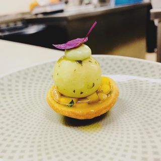 Medici - 4