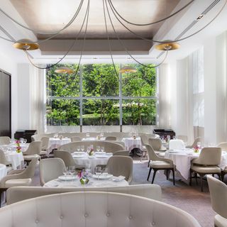 Jean-Georges - 6
