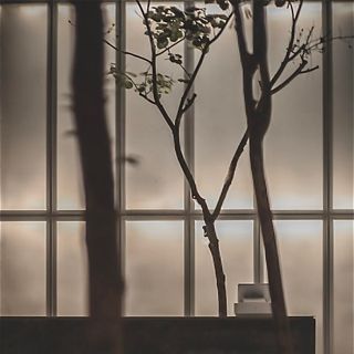 Curios-City - 1