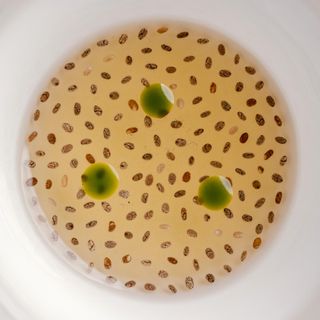 Feuille - 5