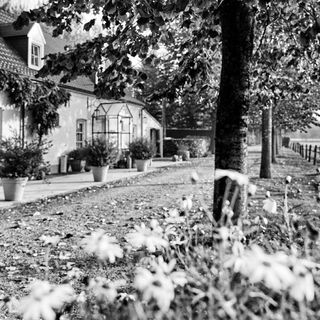 Auberge de Herborist - 4