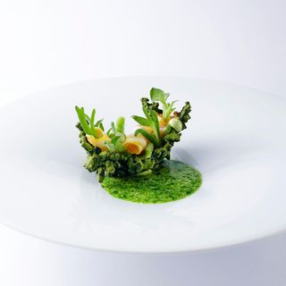 Molina - 7