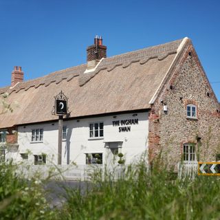 The Ingham Swan - 1