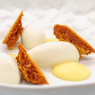 Musciora - 7