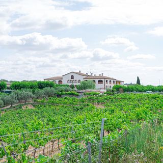 Ca l'Esteve - 4