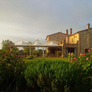 Tenuta del Gallo - 5