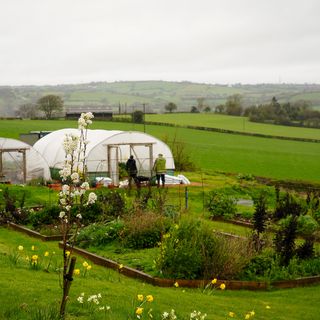 The Pony Chew Valley - 4