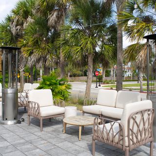 Canary Club - 1