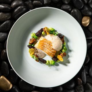 Ösch Noir - 14