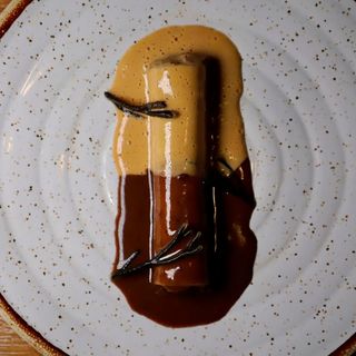 Suculent - 9