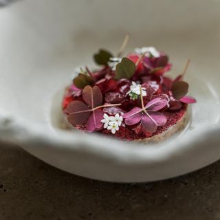 Hertog Jan at Botanic - 0