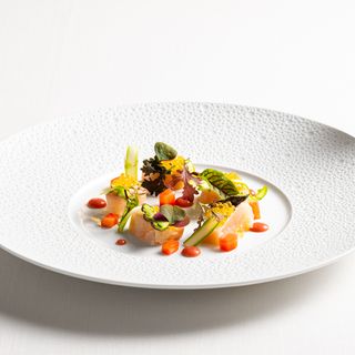 Il Grifone - 2
