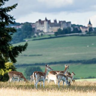 Restaurant Lassey - Château Sainte-Sabine - 1
