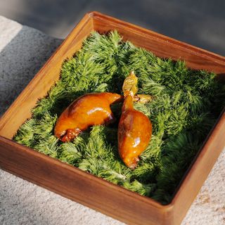 Delightful House - 7