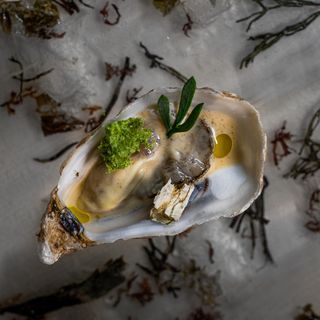 Arzak - 4