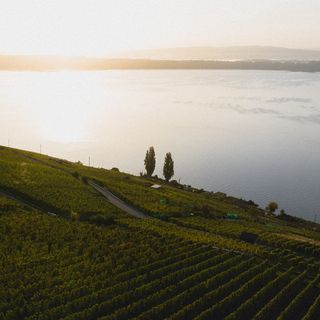 Aux Trois Amis - 7