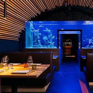 Nami Beef and Reef - 12