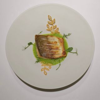 Sense - 10