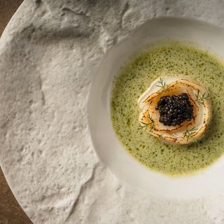 Fishølogy - 15