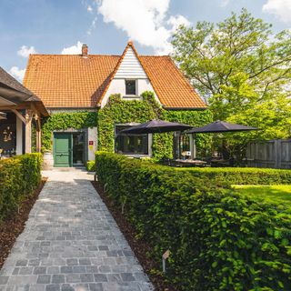 Robuust - Waregem - 5