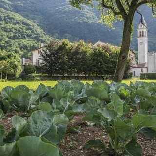 Locanda Solagna - 6